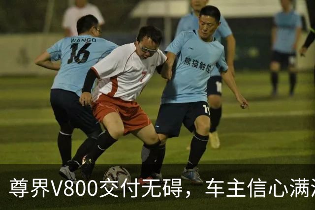 尊界V800交付无碍，车主信心满满，现车加价成常态